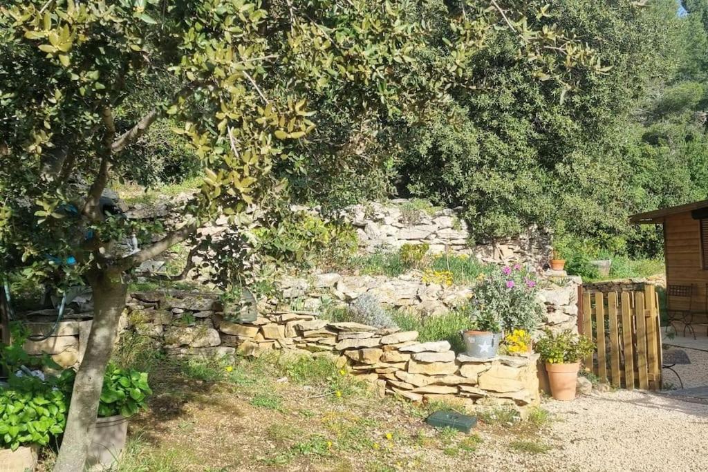 Maisonnette Chez L'Habitant ラシオタ エクステリア 写真